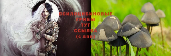 Альфа ПВП Елизово