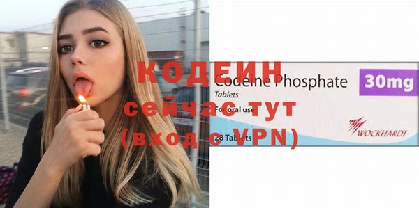 трава Ельня