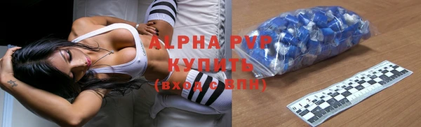 трава Ельня