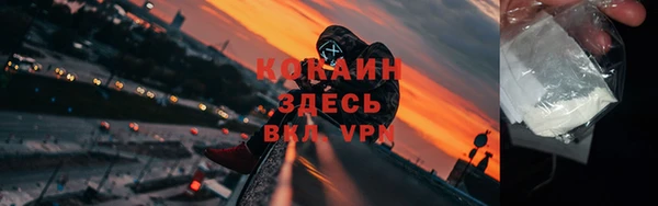 трава Ельня