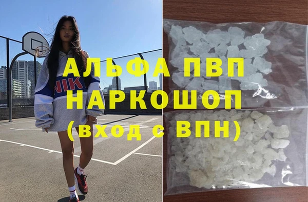 Альфа ПВП Елизово