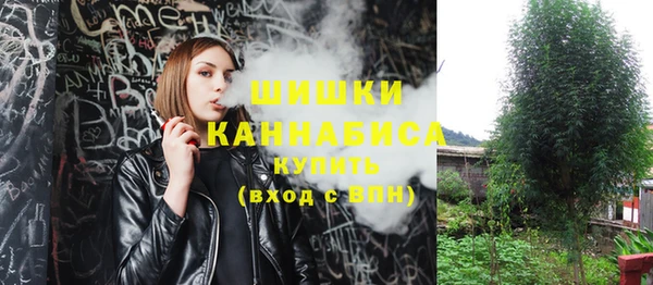 трава Ельня