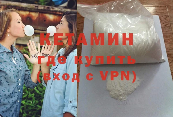 трава Ельня