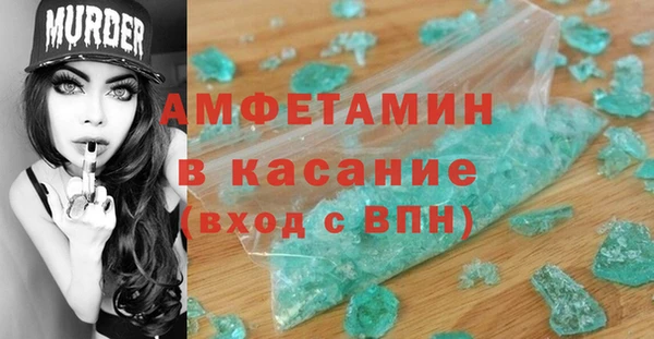 трава Ельня