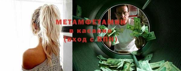 трава Ельня