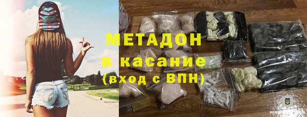 трава Ельня