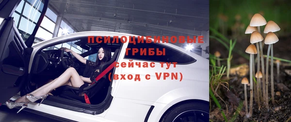 эйфоретик Елабуга