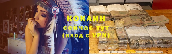 Альфа ПВП Елизово